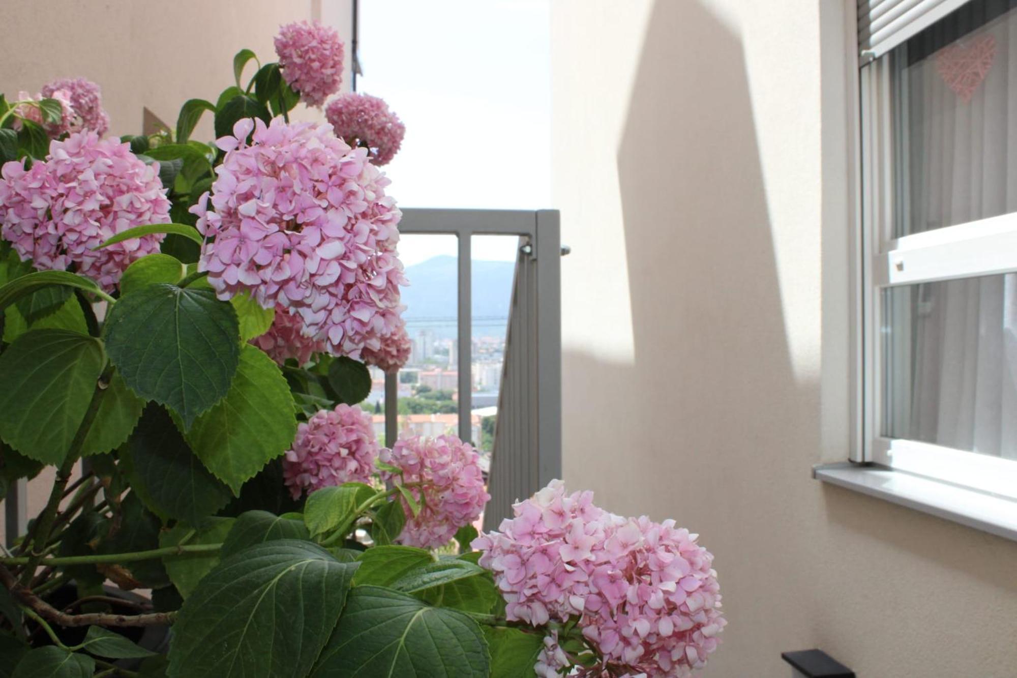 Apartment Merry - Free Garage & Parking Mostar Buitenkant foto