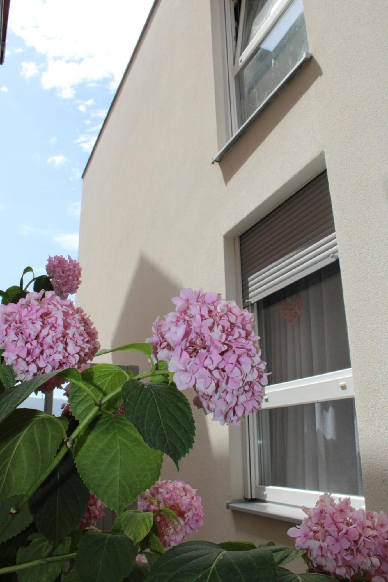 Apartment Merry - Free Garage & Parking Mostar Buitenkant foto